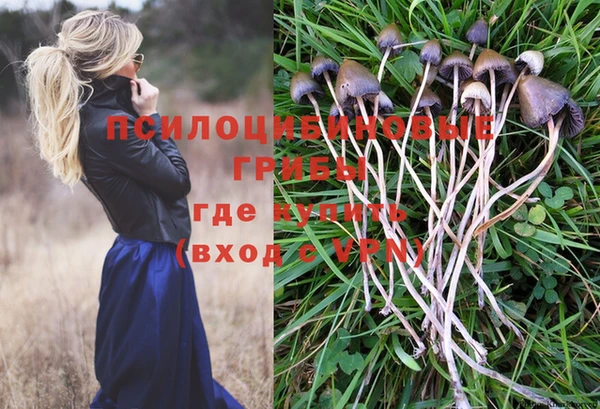 МДПВ Вязники