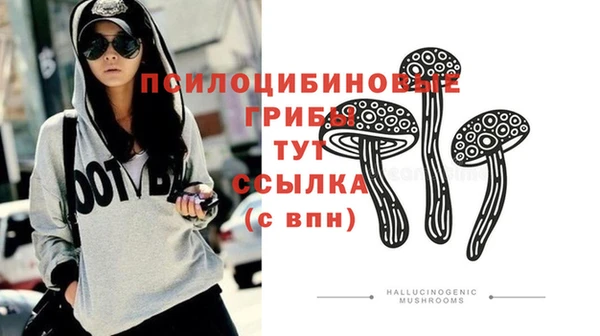 не бодяженный Володарск